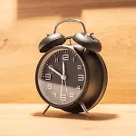 בית הארחה - Blume אופנאו