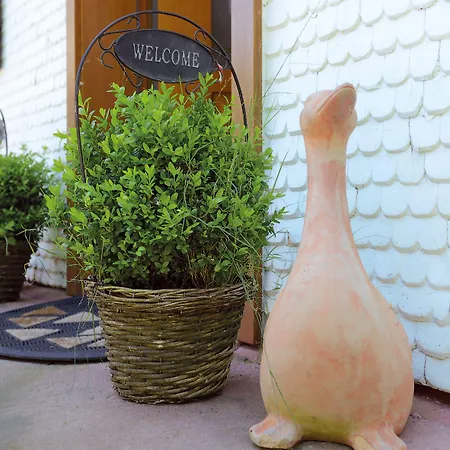 - Blume Affittacamere