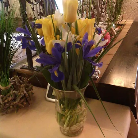 Affittacamere - Blume 3*